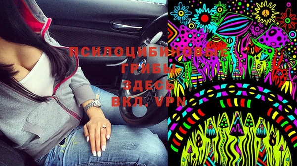 стафф Няндома