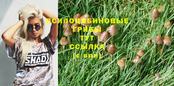 стафф Няндома