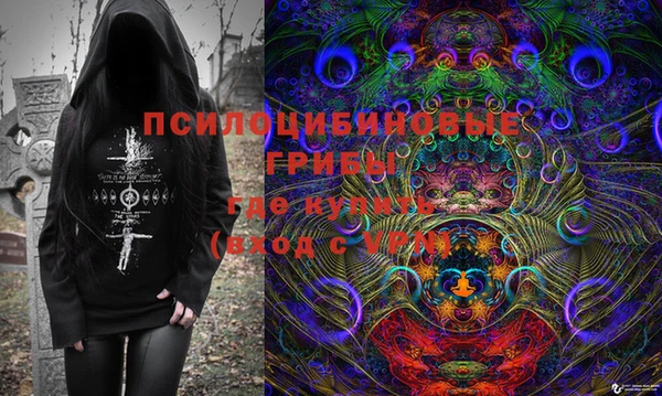 стафф Няндома