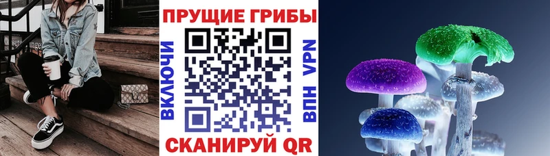 Псилоцибиновые грибы Cubensis Кинель