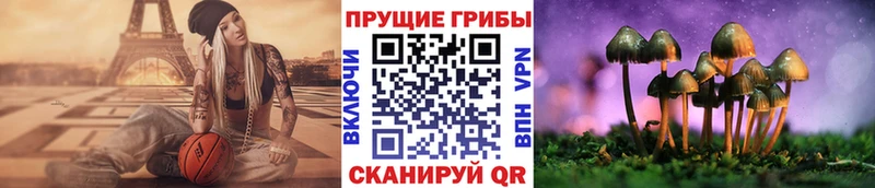 наркота  Кинель  МЕГА рабочий сайт  Псилоцибиновые грибы Magic Shrooms 