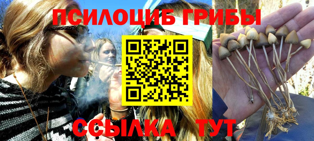 Кинель  Галлюциногенные грибы Magic Shrooms  Вход с VPN 